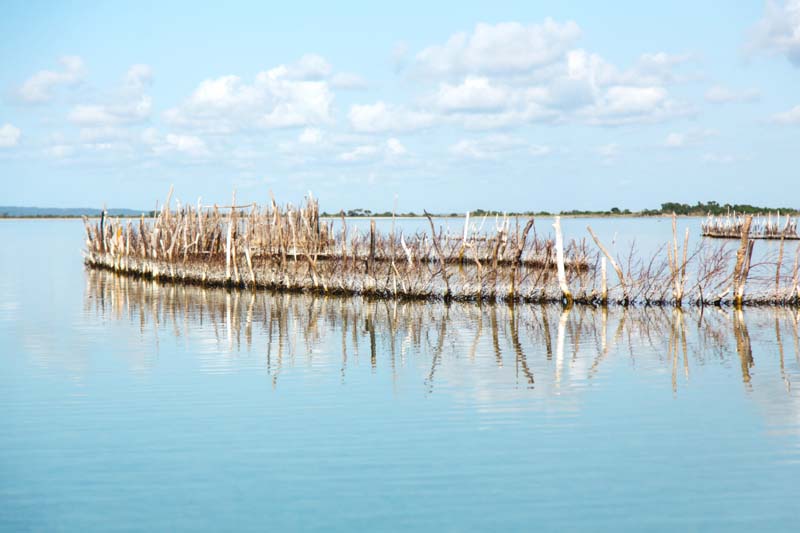 Isimangaliso Wetland Park