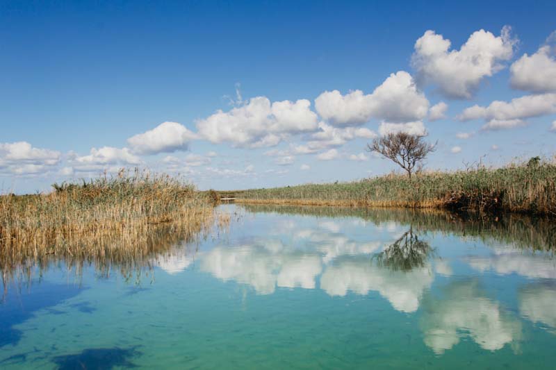 Isimangaliso Wetland Park