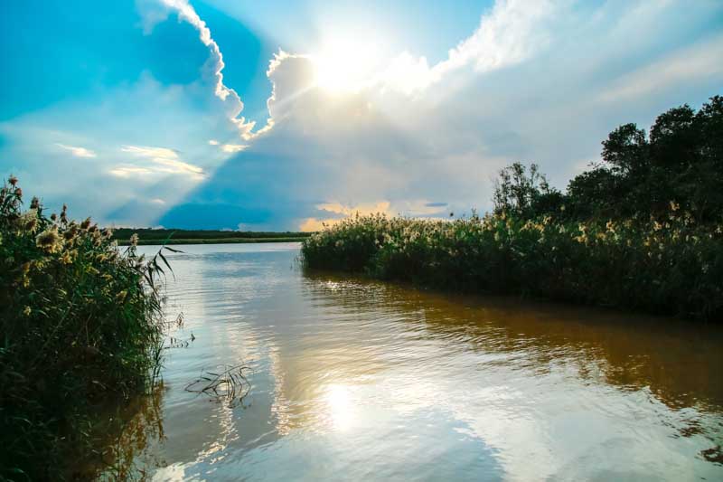 Isimangaliso Wetland Park