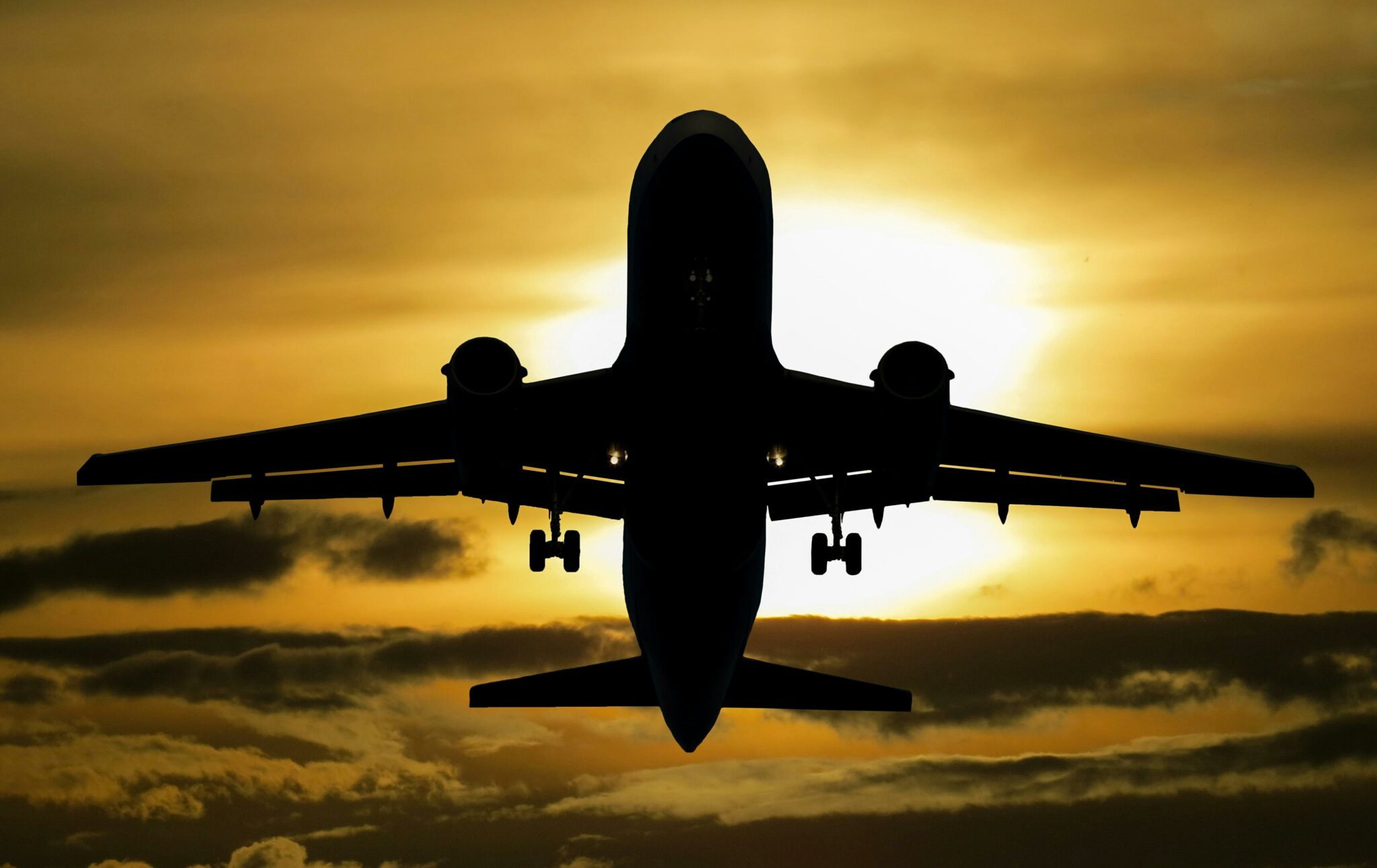Black Friday Flights 2024 Trish Clareta