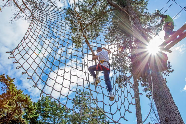 Acrobranch net climbing between trees