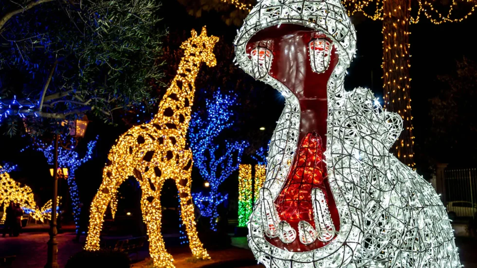 Festival of light at the Joburg Zoo. One of the family friendly things to do this December