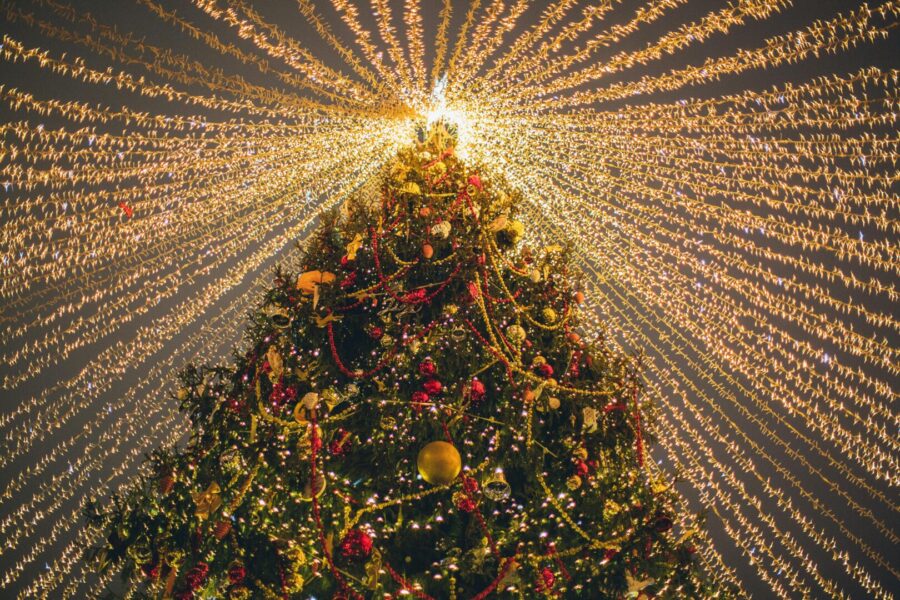 Christmas tree lit up at Emperor's Palace in Johannesburg during December 2025