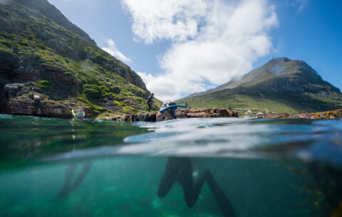 People snorkelling in. Cape Town's blue ocean with a background of the green mountains and blue sky with white cloud. These are the top 5 snorkelling spots in Cape Town