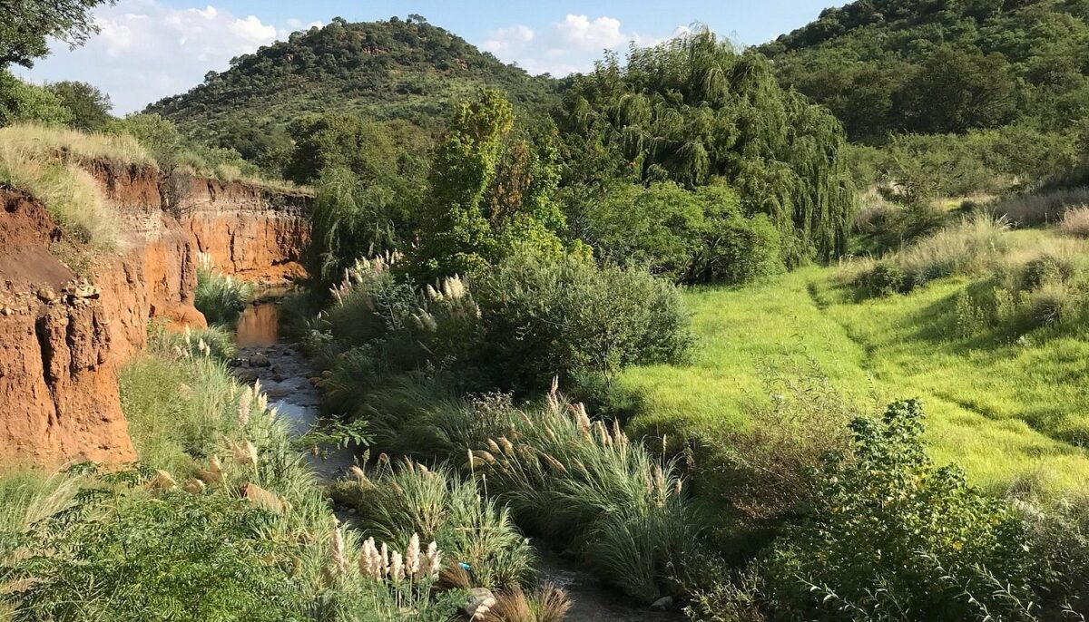 Mountain peaks covered with lush greenery and trees. A lazy river flows in the foreground. This is Klipriviersberg Nature Reserve in Johannesburg, a free nature reserve and hiking spot.