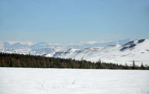 Snow in South Africa, KZN, Fort Nottingham.