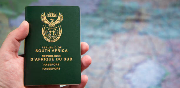 Close-up of a hand holding a South African passport. Concept for how to apply for a South African passport, step by step guide
