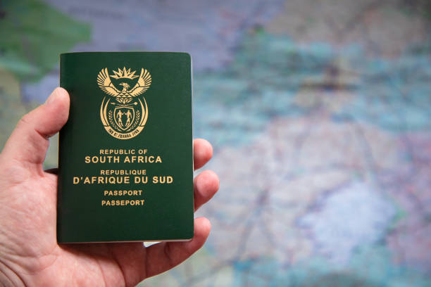Close-up of a hand holding a South African passport. Concept for how to apply for a South African passport, step by step guide