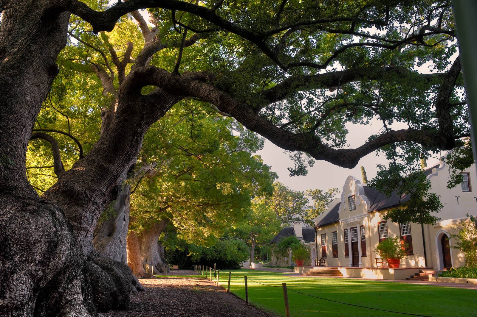 vergelen somerset west