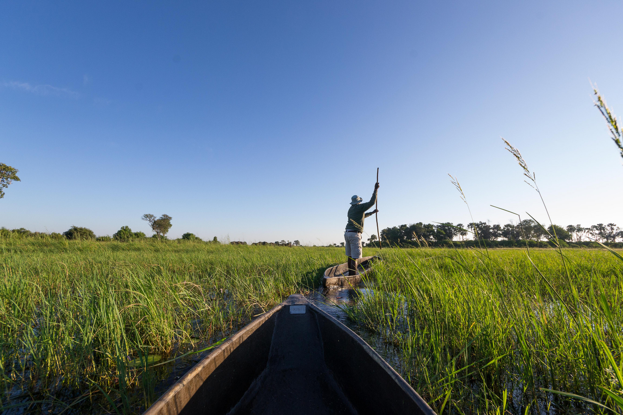 Couples okavango delta