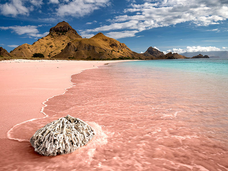 7 most striking pink beaches in the world