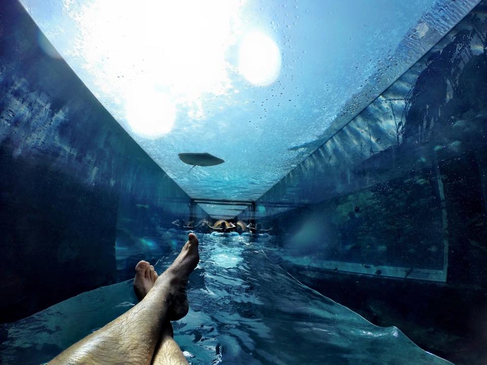 Aquaventure Atlantis Aquaventure Leap of Faith Ride