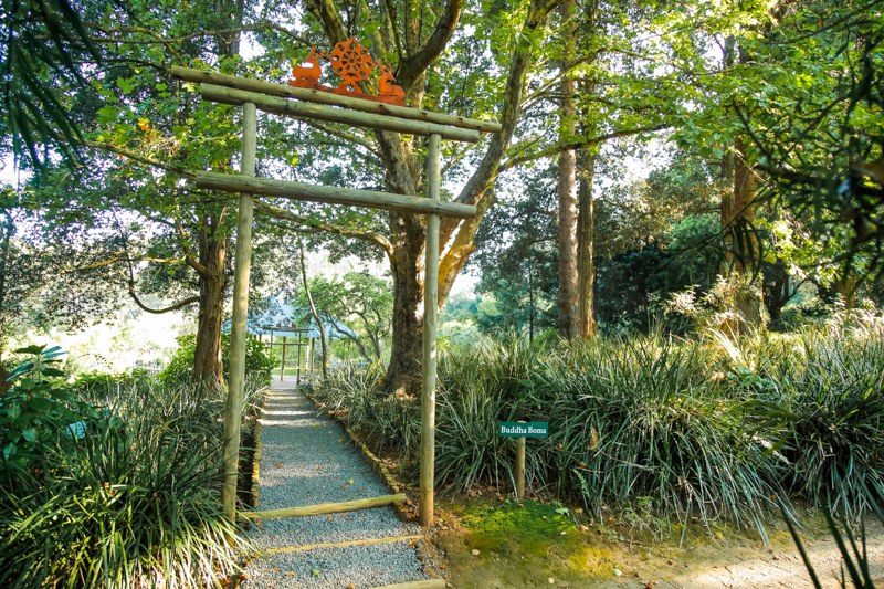 South Africa's own Buddhist Retreat Centre