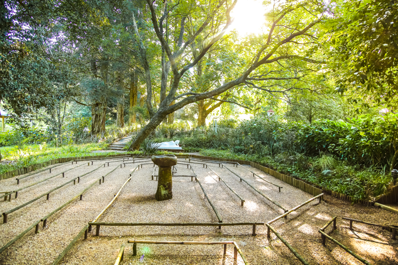 South Africa's own Buddhist Retreat Centre