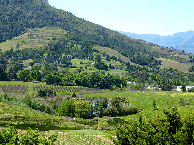 Cape Winelands Cape Winelands