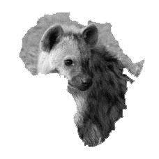 Capturing Africa Blog Stuart Parker Capturing Africa Journey's