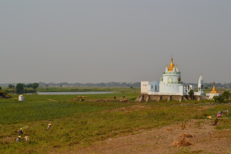 A pagoda near the U Bein teak bridge, cows graze here happily DSC_1122 (1280x853)