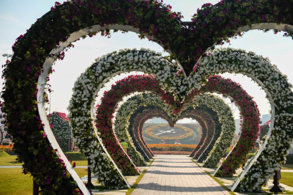 Dubai Miracle Garden