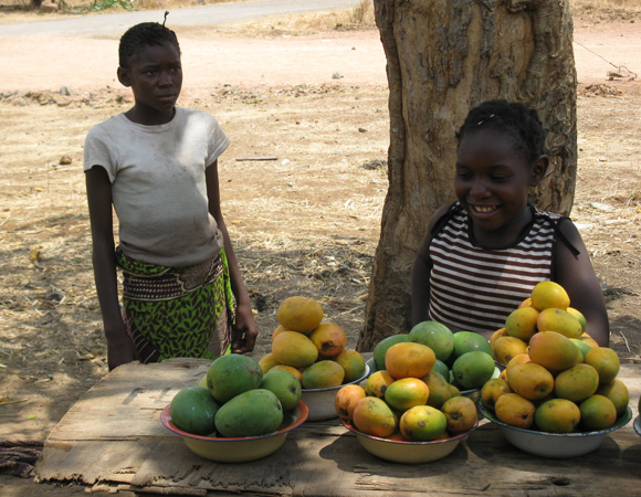 Girls selling mangos, Zambia Girls selling mangos, Zambia