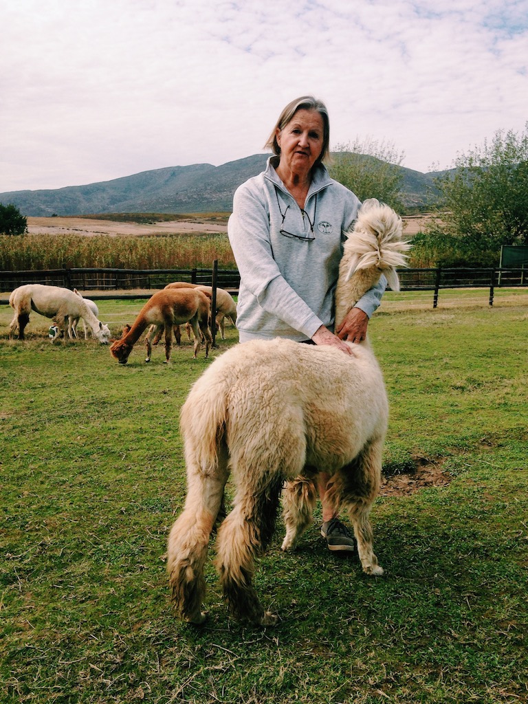 Processed with VSCO with c1 preset