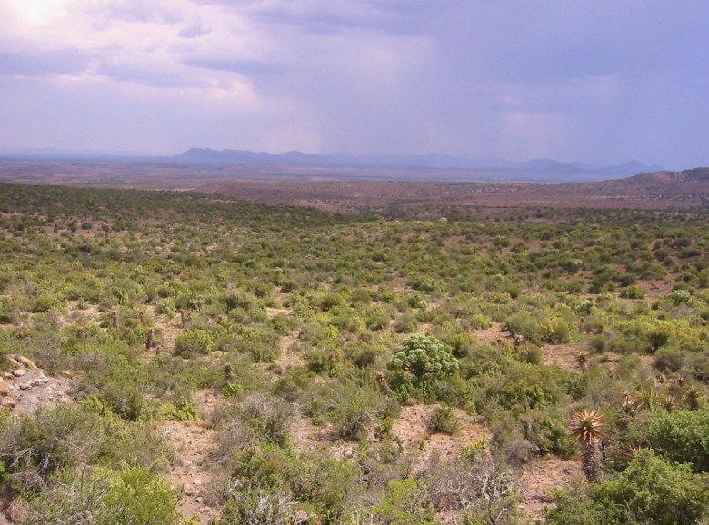 Karoo National Park