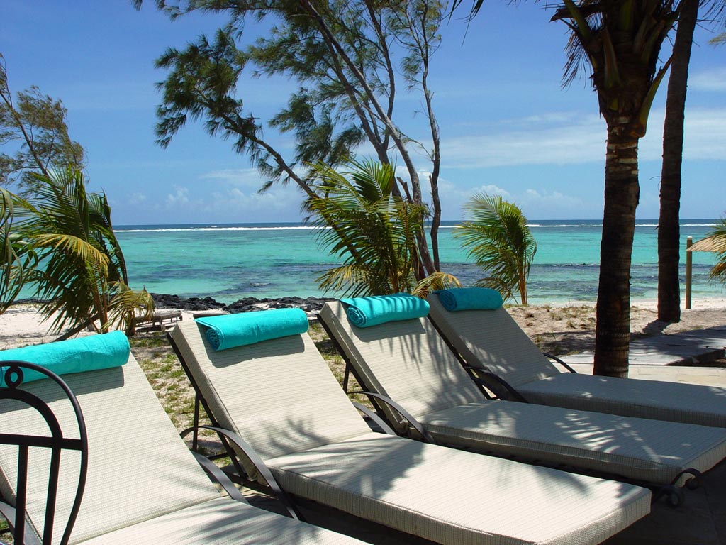 Palmeraie2 Palmeraie2