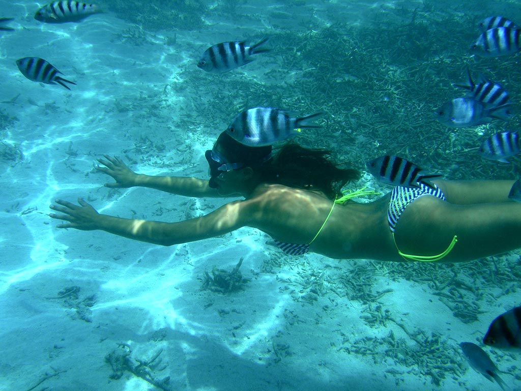 Palmeraie3 Palmeraie3