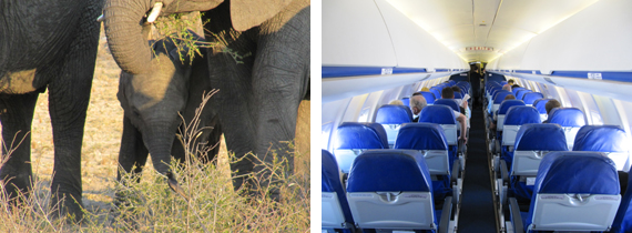 SA Express to Kruger Park SA Express to Kruger Park