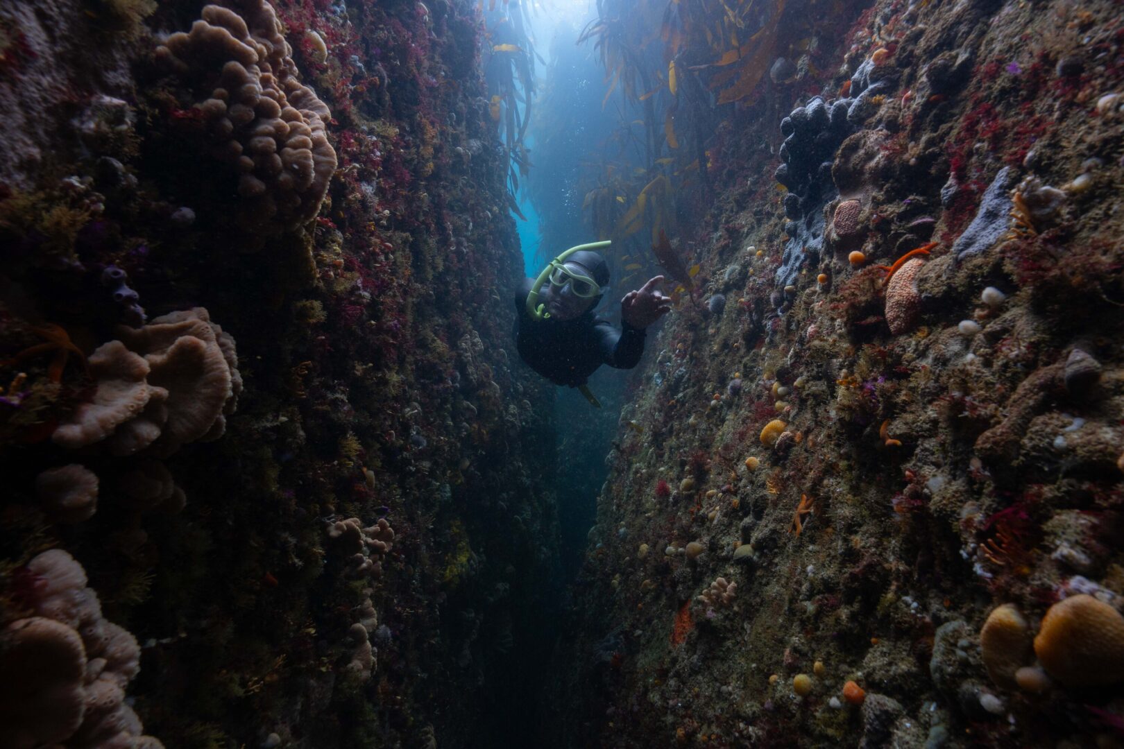 Diver in a wetsuit and Agulhas snorkelling gear swimming in between an underwater rock formation at Sandy Cove.