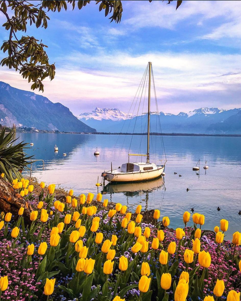 Serene Swiss summers Screen Shot 2016-06-14 at 3.21.16 PM