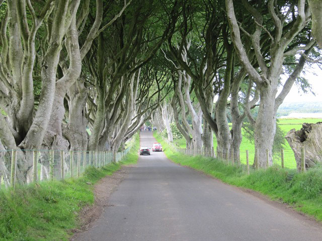 The 'Dark Hedges' Scene of the King's Road in Game of Thrones, Northern Ireland.