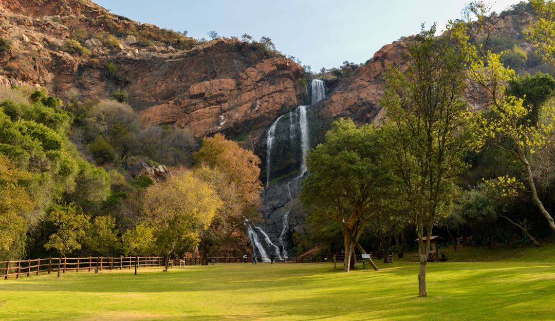 A tall waterfall flows down a rocky cliff, surrounded by green trees in the Walter Sisulu Botanical Gardens. There is a grassy area with a wooden fence in the foreground. Visiting this place is one of the cheap things to do in Johannesburg.