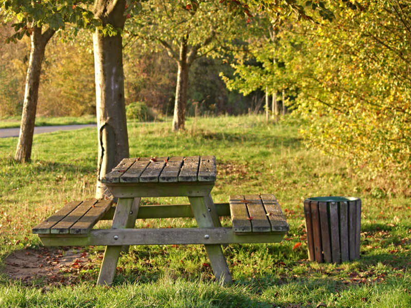 Wooden picnic table with attached benches situated in a grassy park. The table is positioned under a tree, and there's a wooden trash bin nearby. The background features more trees and greenery. Picnics in pretoria