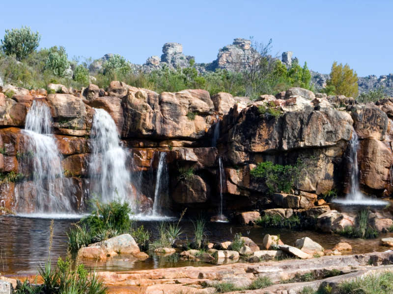 Pet-Friendly Camping