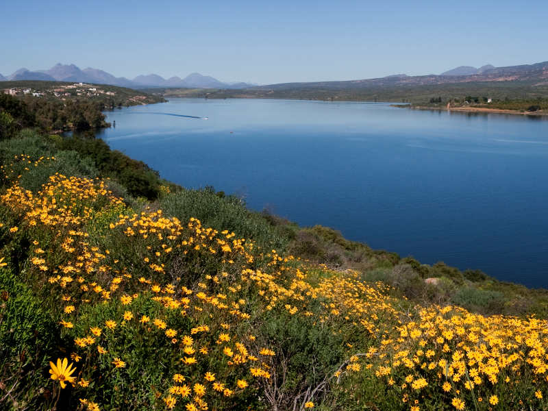 Pet-Friendly Camping