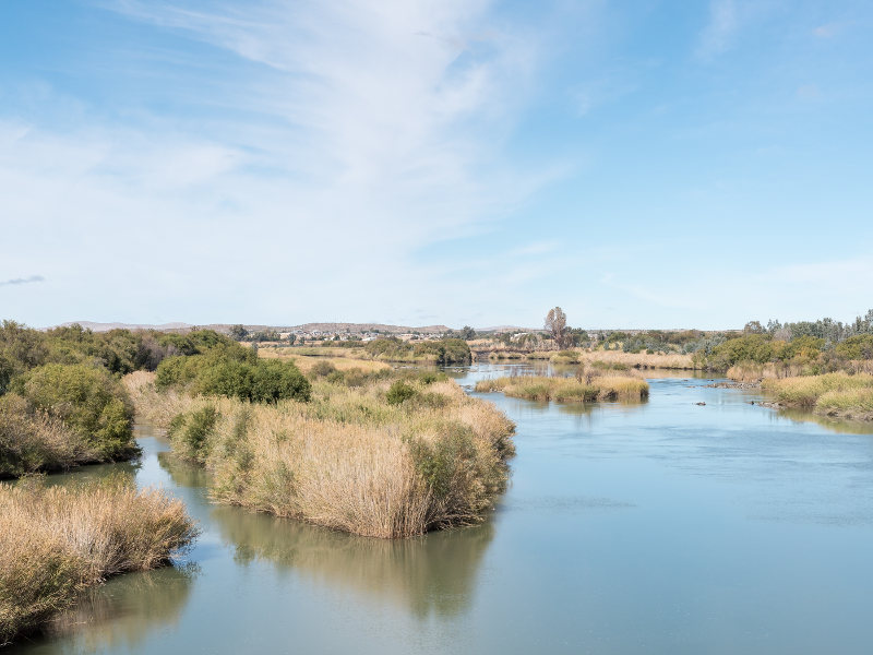 Pet Friendly Camping