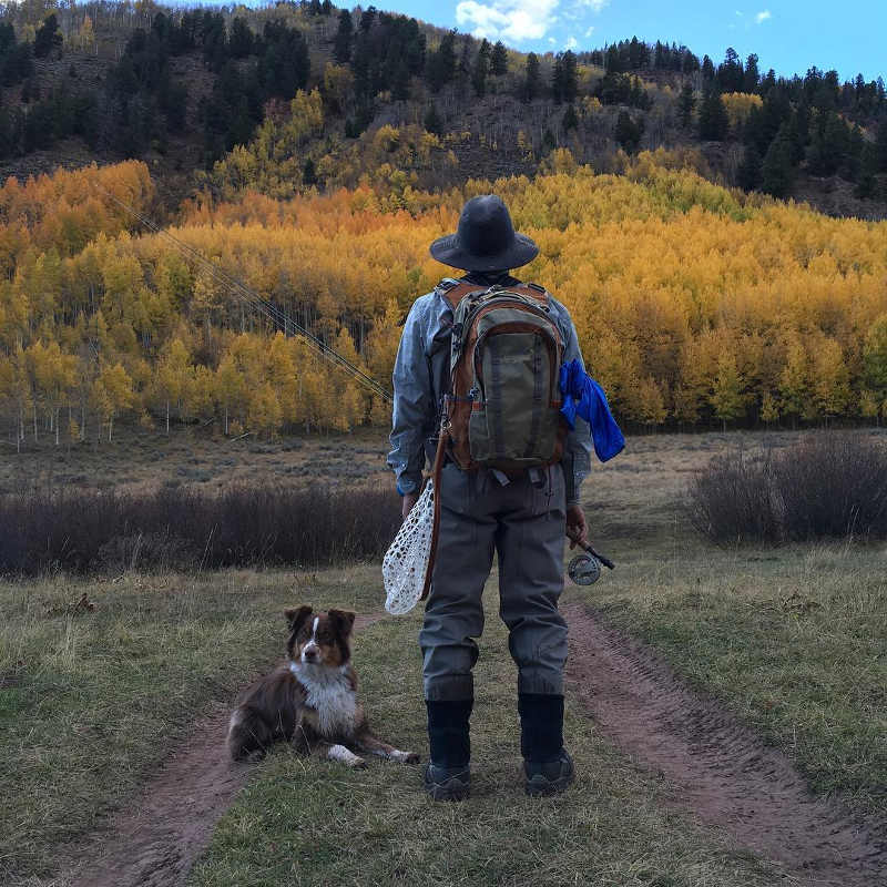 Pet-Friendly Camping