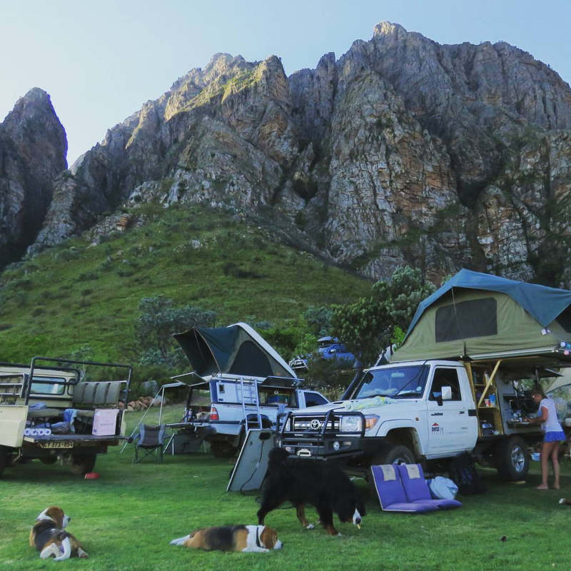 Pet-Friendly Camping