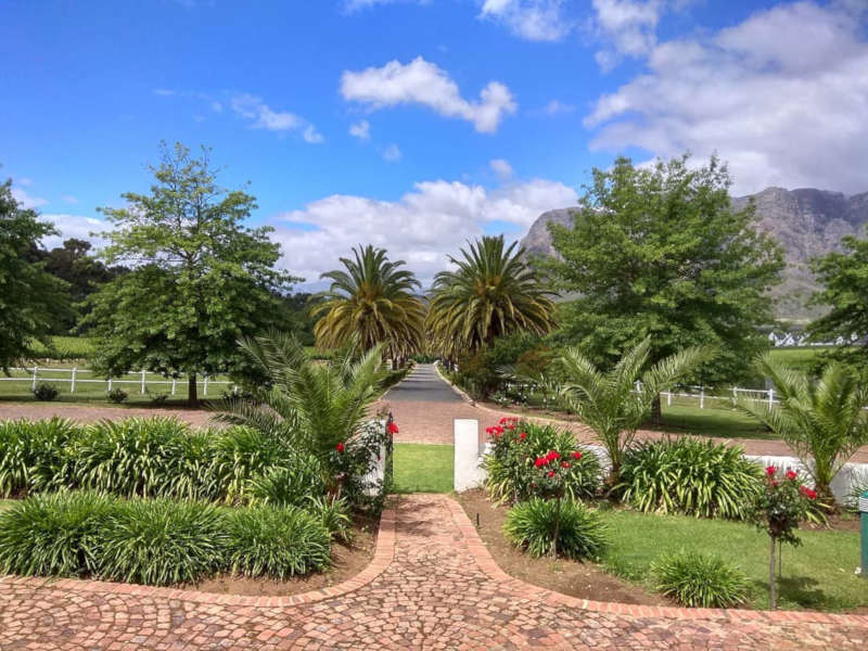 hop-on-hop off tour vine hopper things to do in stellenbosch