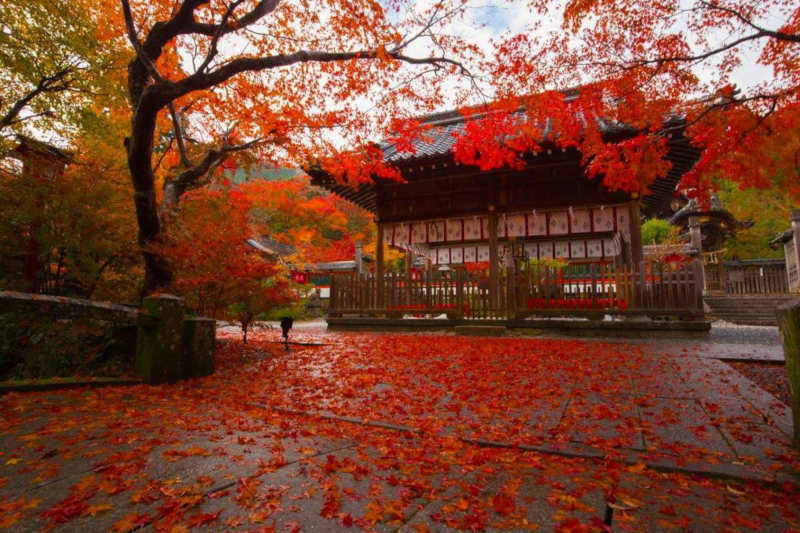 japan autumn best time to visit japan