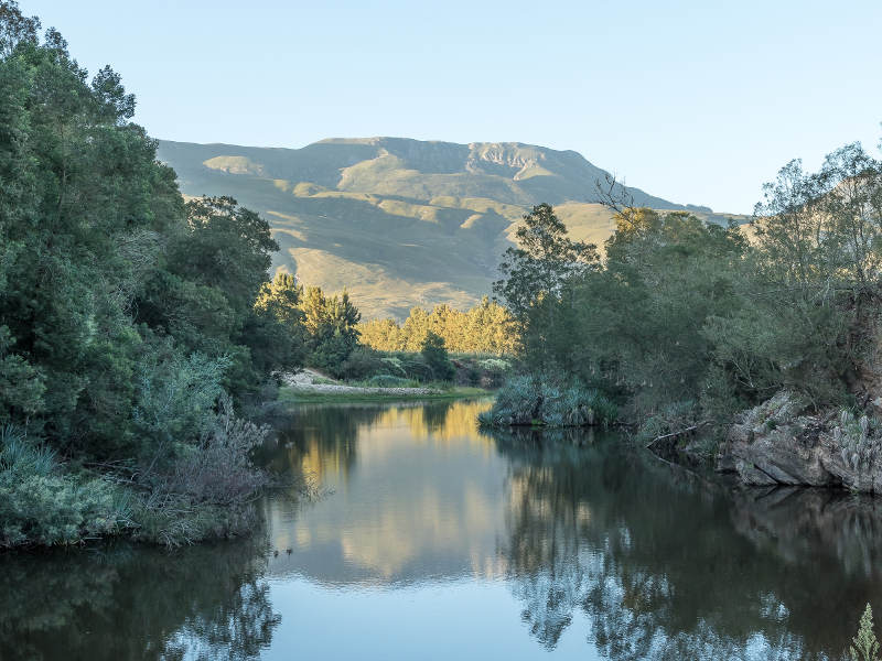 Pet-Friendly Camping