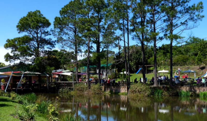 lavender blue organic market things to do in east london