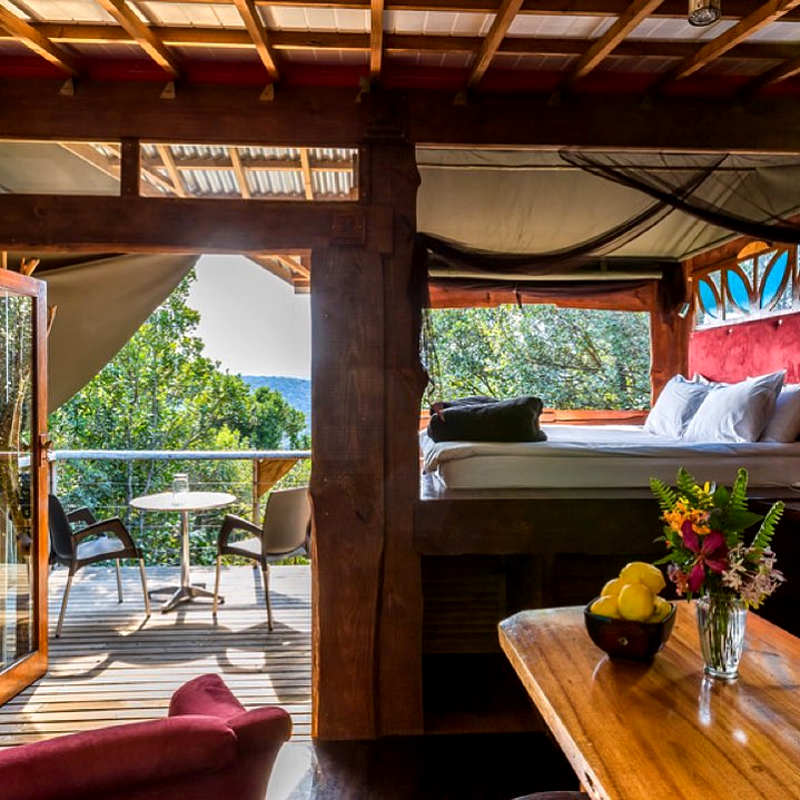 moonshine on whiskey creek