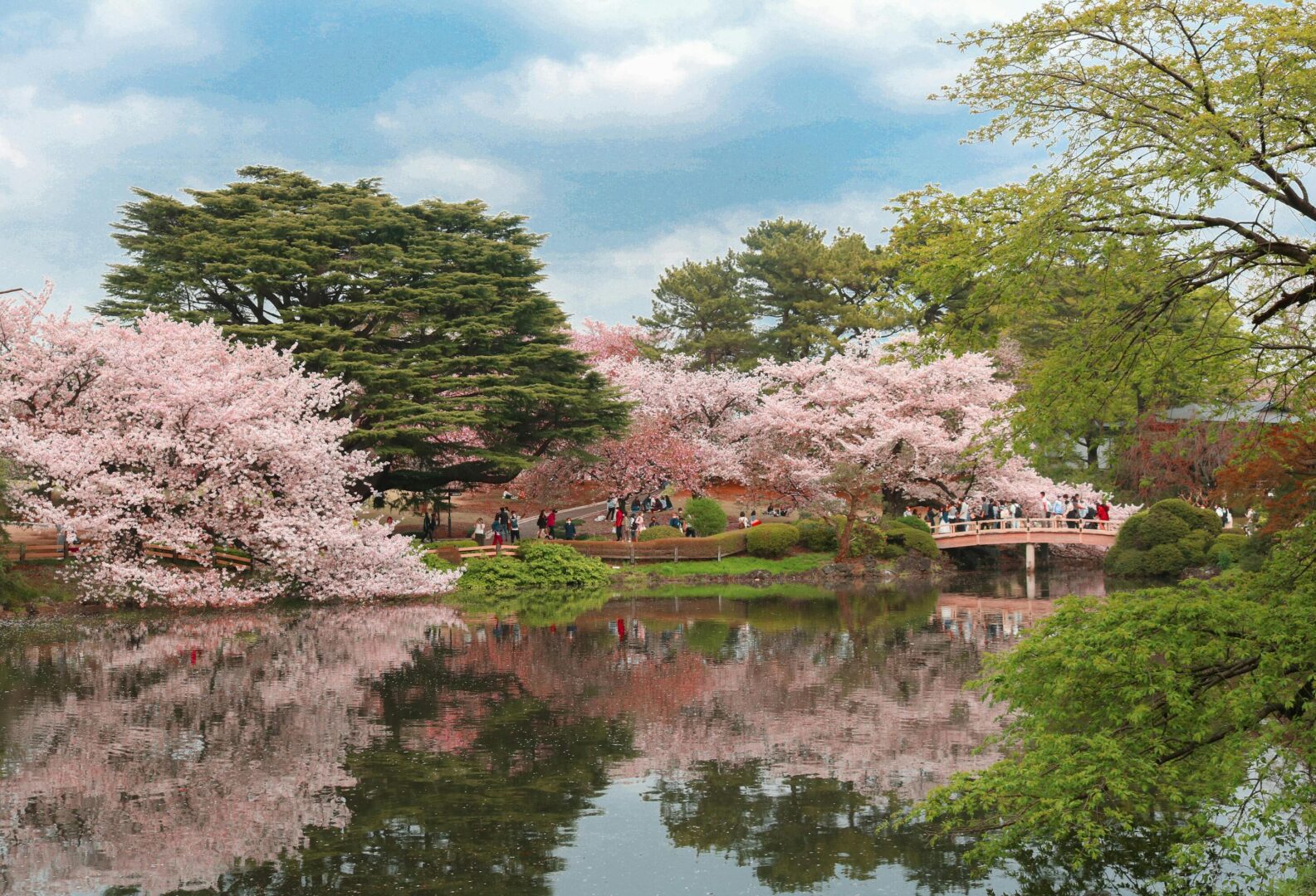 Morning routines in Japan, people taking walks in nature