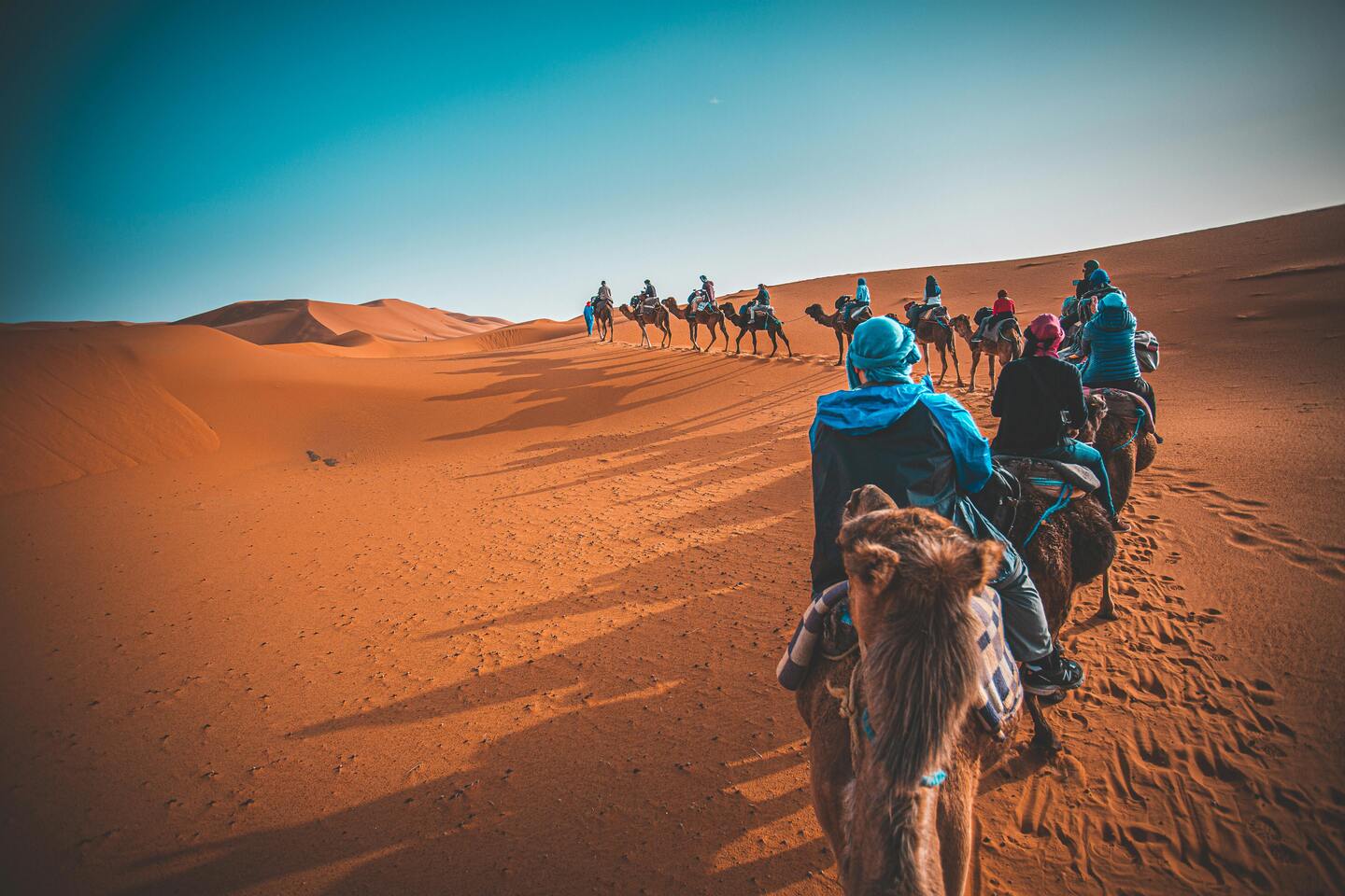 People riding on camels through the desert, one of the best places to visit in Qatar