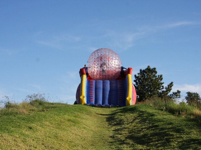 A large, transparent, inflatable ball known as a Zorb is positioned at the top of an inflatable ramp, ready to roll down a grassy hill at Jozi X. The ramp is colorful, with blue, red, and yellow sections, and is set up in an outdoor area with grass and trees in the background.