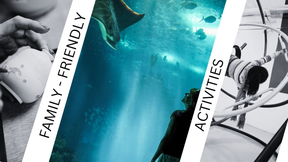 Family friendly things to do in Cape Town in winter