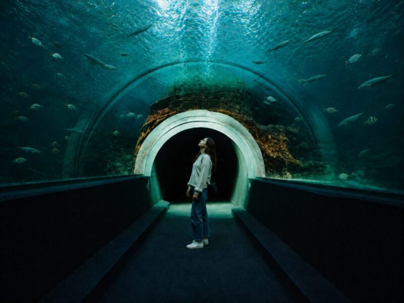 Free Things to do on Your Birthday in Cape Town