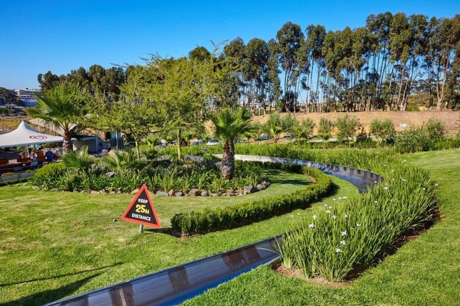 Free Things to do on Your Birthday in Cape Town