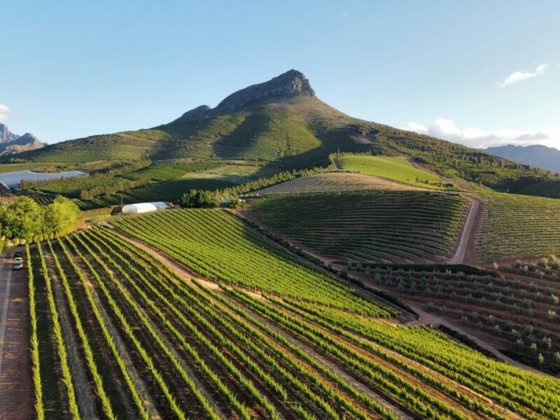 Stellenbosch wine farm. Things to do on your birthday in Cape Town